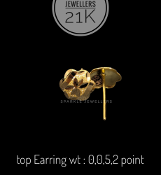 Sparkle:- Top Earrings